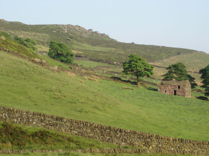 The Roaches The Roaches